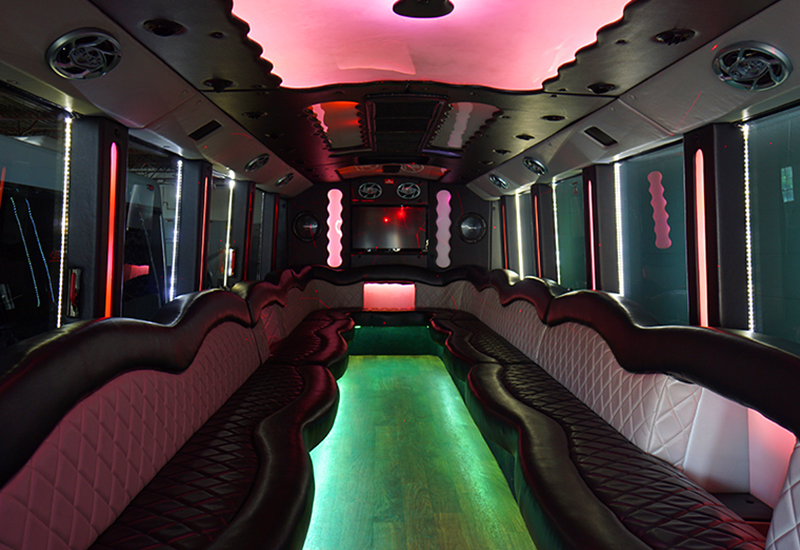 party bus mi